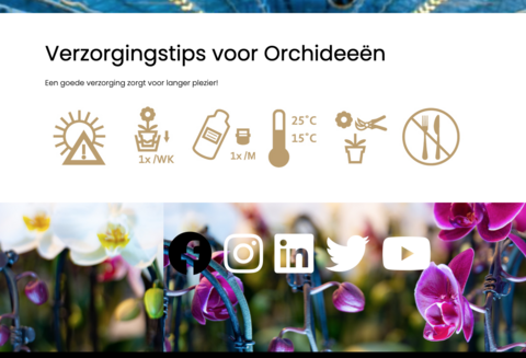 afbeelding 4