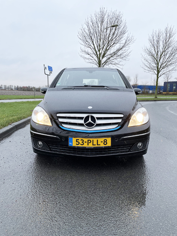 afbeelding 5